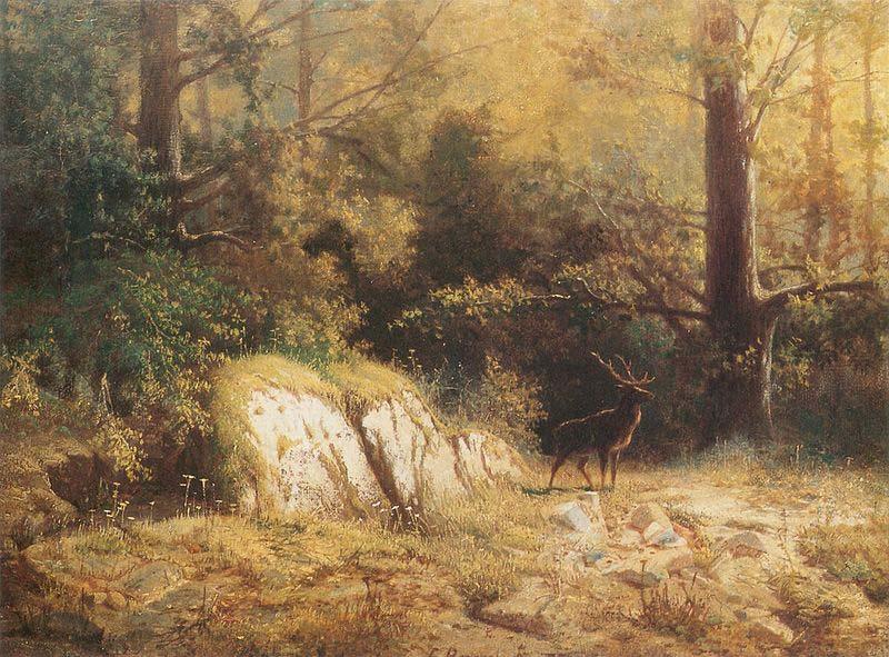 unknow artist Forest landscape with a deer. oil painting image